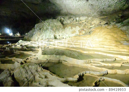 Shuhohora Shuhohora 89419933