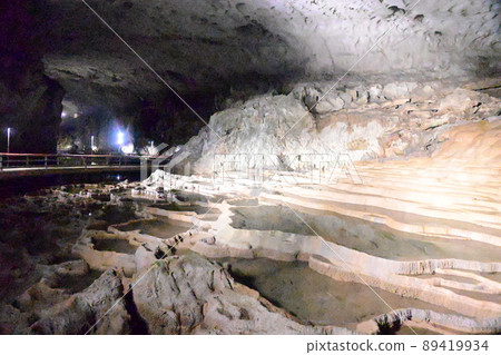 Shuhohora Shuhohora 89419934