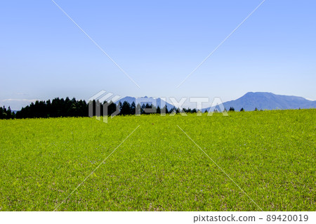 Daikanbo and Mt. Aso 89420019