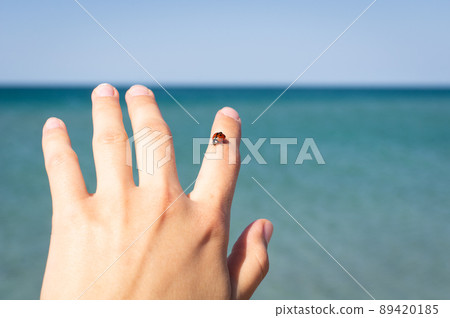 Ladybug on the finger by the sea. The concept of rest, vacation, enjoyment of nature. Front view. 89420185