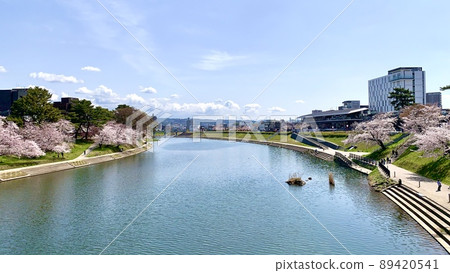 盛開的櫻花樹和藍天映襯下的大鳥川河畔露台[乙川/愛知縣岡崎市] 89420541