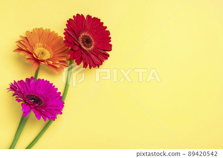 Bouquet of gerberas on yellow background Top view Flat lay Holiday greeting card Happy moter's day, 8 March, Valentine's day, Easter concept Copy space Mock up. 89420542