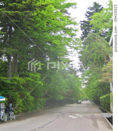 Fantastic samurai residence townscape Kakunodate 89420925