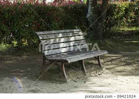 Park bench in the sunlight through the trees Park bench in the sunlight through the trees 89421024
