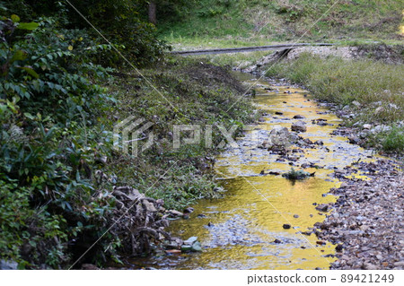 一條流淌在植被旁的金色河流 一條流淌在植被旁的金色河流 89421249