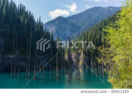 Kaindy lake - mountain lake in Kazakhstan 89421283