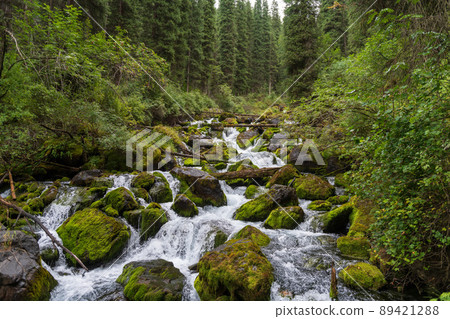 Kaindy lake - mountain lake in Kazakhstan Kaindy lake - mountain lake in Kazakhstan 89421288