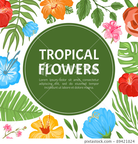 Tropical Flowers and Foliage Card Design with Fern and Hibiscus Vector Template 89421824