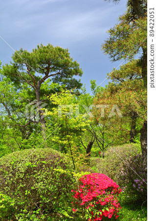 日本100座精美城堡,高遠城 日本100座精美城堡,高遠城 89422051