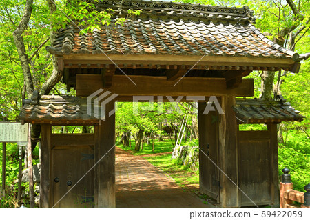 100 Fine Castles of Japan, Takato Castle 89422059