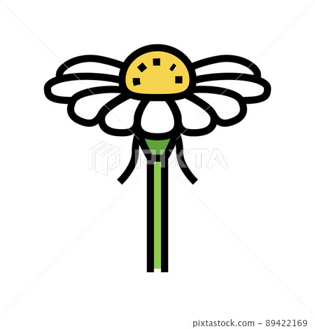 chamomile flower bud color icon vector illustration chamomile flower bud color icon vector illustration 89422169