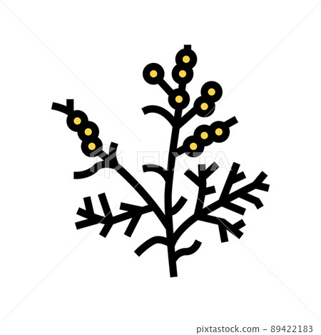 wormwood plant color icon vector illustration wormwood plant color icon vector illustration 89422183