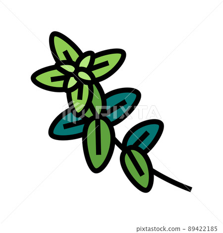 oregano plant branch color icon vector illustration 89422185