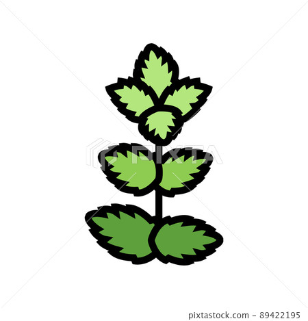 mint leaf color icon vector illustration 89422195