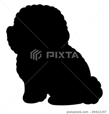 Bichon Frize 小狗側身坐著的剪影 89422297