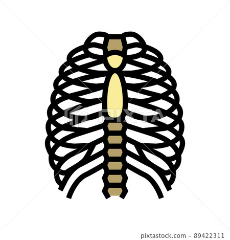 chest bone color icon vector illustration chest bone color icon vector illustration 89422311