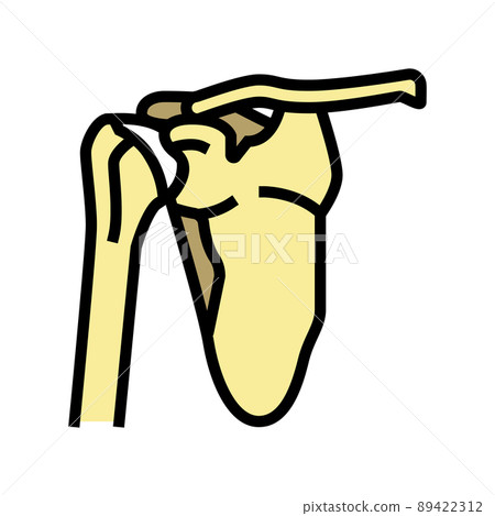 shoulder bone color icon vector illustration shoulder bone color icon vector illustration 89422312