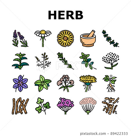 Medical Herb Natural Ingredient Icons Set Vector 89422333
