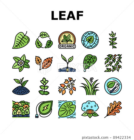 Leaf Branch Natural Foliage Tree Icons Set Vector 89422334