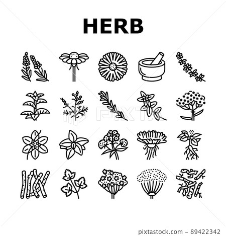 Medical Herb Natural Ingredient Icons Set Vector 89422342