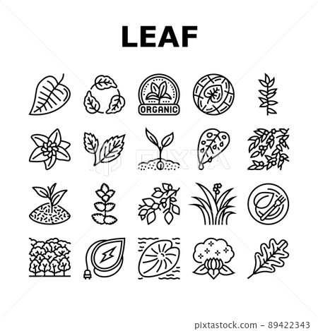 Leaf Branch Natural Foliage Tree Icons Set Vector Leaf Branch Natural Foliage Tree Icons Set Vector 89422343
