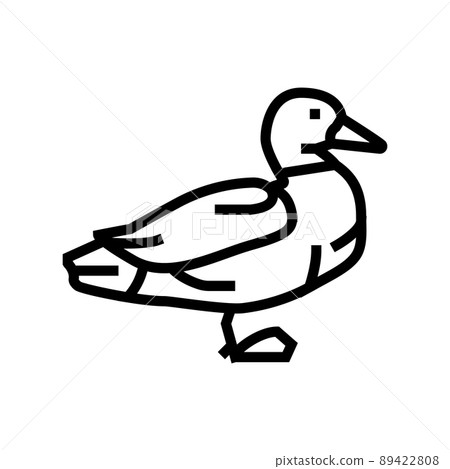 duck bird line icon vector illustration 89422808