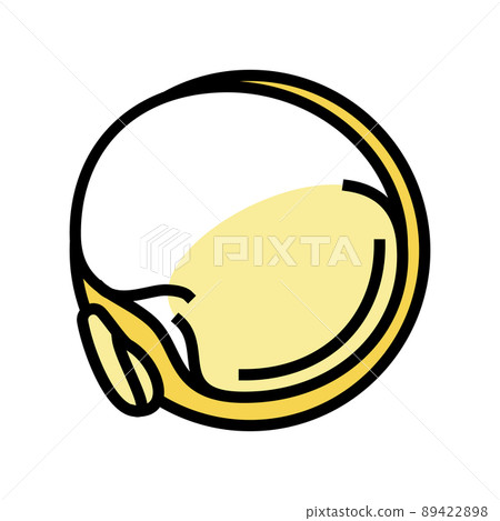 quinoa seed color icon vector illustration quinoa seed color icon vector illustration 89422898