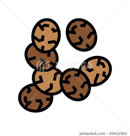 chia seed color icon vector illustration chia seed color icon vector illustration 89422902