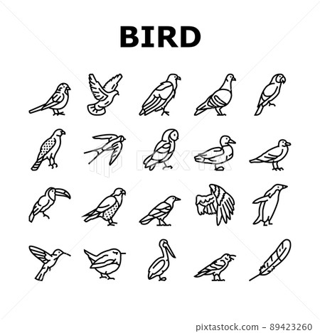 Bird Flying Animal With Feather Icons Set Vector 89423260