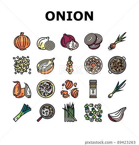 Onion Fresh Vitamin Vegetable Icons Set Vector 89423263