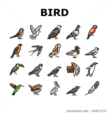 Bird Flying Animal With Feather Icons Set Vector 89423270