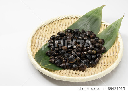 在白色背景上的蛤蜊 89423915