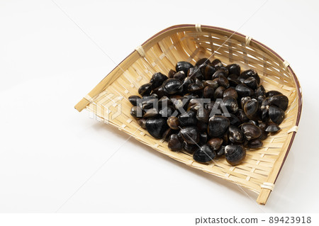 Clams on a white background 89423918