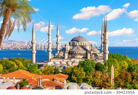 Beautiful palm by The Blue Mosque or Sultan Ahmet Mosque, Bosphorus, Turkey 89423956