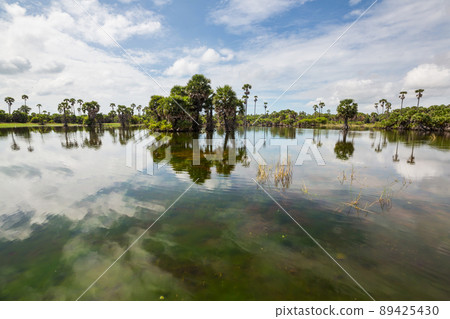 Lake on Sri Lanka Lake on Sri Lanka 89425430