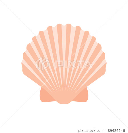 sea shell isolated on white background vector sea shell isolated on white background vector 89426246