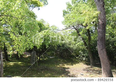 Spring at Otani Honboku Mausoleum in Kyoto 89426558