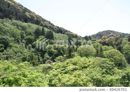 若葉薰京都音羽山清水寺 若葉薰京都音羽山清水寺 89426701