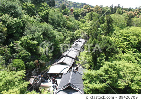 若葉薰京都音羽山清水寺 若葉薰京都音羽山清水寺 89426709