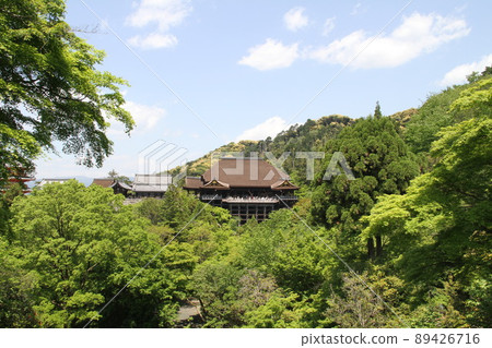 若葉薰京都音羽山清水寺 若葉薰京都音羽山清水寺 89426716