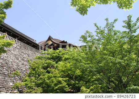 若葉薰京都音羽山清水寺 若葉薰京都音羽山清水寺 89426723