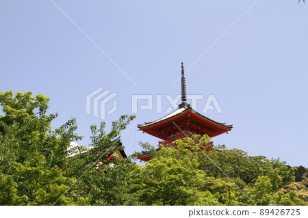 若葉薰京都音羽山清水寺 若葉薰京都音羽山清水寺 89426725