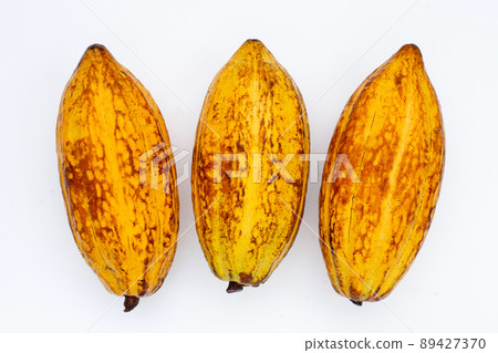 Cocoa fruit isolated on white background 89427370