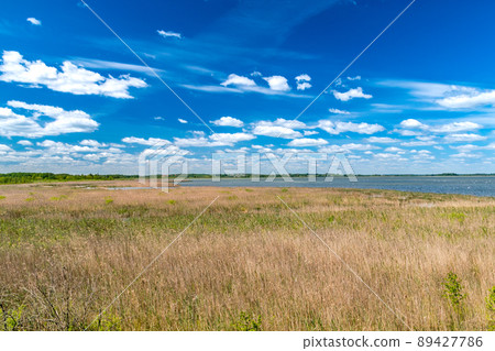 Landscape view of Luknajno lake. 89427786