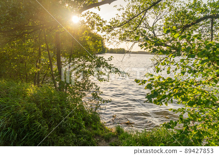 Sunset view between trees at Ukiel lake in Olsztyn, Poland. Sunset view between trees at Ukiel lake in Olsztyn, Poland. 89427853