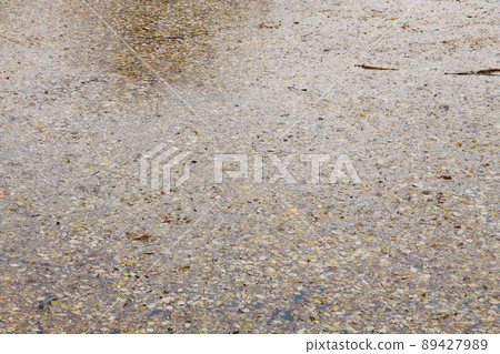 Bright autumn maple leaves in water, natural background. autumn atmosphere image. Fall season 89427989