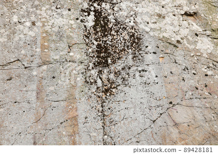 Closeup of the rough stone texture of a big rock surface for natural background concepts. Closeup dirty natural stone background texture Closeup of the rough stone texture of a big rock surface for natural background concepts. Closeup dirty natural stone background texture 89428181