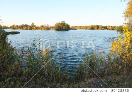 Beautiful autumn landscape with lake and multicoloral trees. Picturesque place with lake and tall trees Beautiful autumn landscape with lake and multicoloral trees. Picturesque place with lake and tall trees 89428286