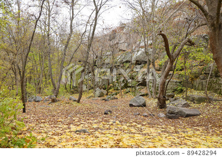 Granite rocks of Bukski Canyon in autumn. Picturesque landscape and beautiful place in Ukraine 89428294