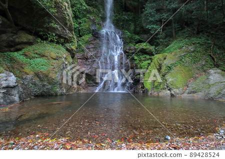 Heike Falls Spring Falls(高知縣高知市) Heike Falls Spring Falls(高知縣高知市) 89428524
